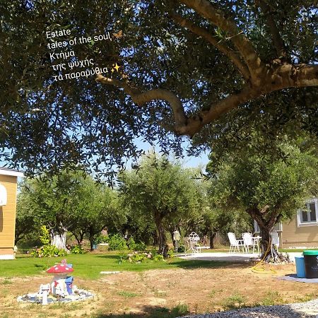 Bungalows With Private Pools "Tales Of The Soul - Της Ψυχής Τα Παραμύθια" Anemochori 外观 照片