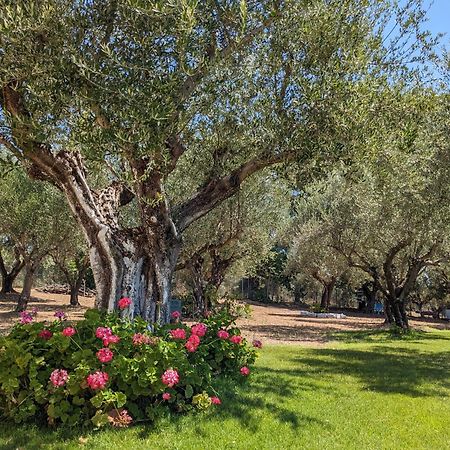 Bungalows With Private Pools "Tales Of The Soul - Της Ψυχής Τα Παραμύθια" Anemochori 外观 照片