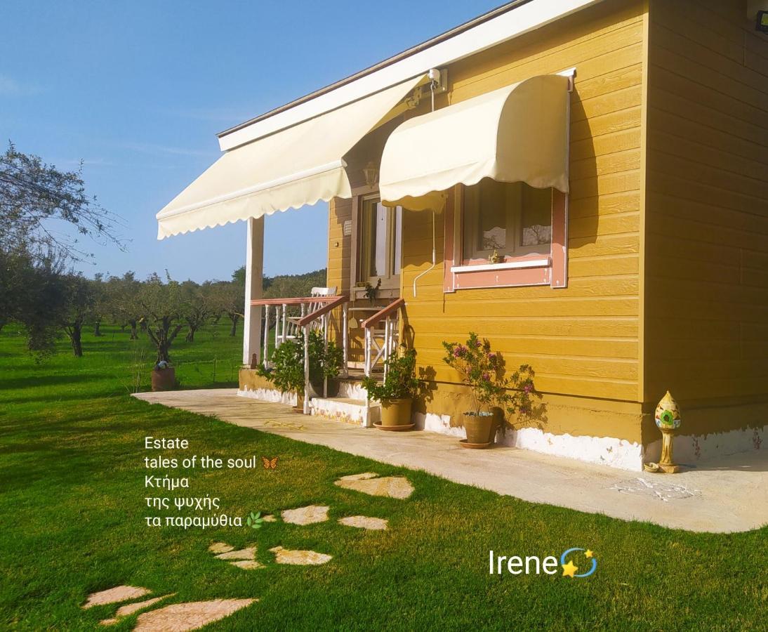 Bungalows With Private Pools "Tales Of The Soul - Της Ψυχής Τα Παραμύθια" Anemochori 外观 照片