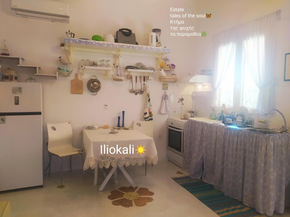 Bungalows With Private Pools "Tales Of The Soul - Της Ψυχής Τα Παραμύθια" Anemochori 外观 照片