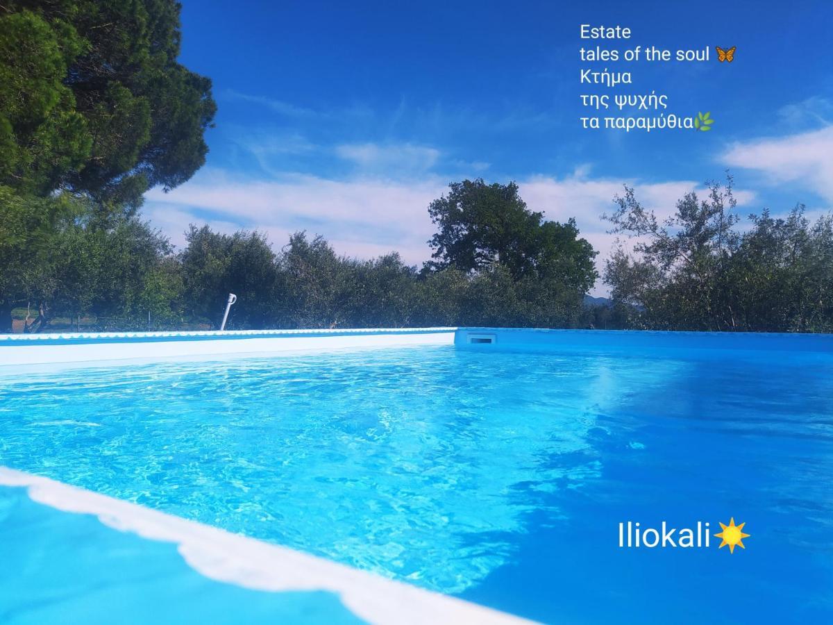 Bungalows With Private Pools "Tales Of The Soul - Της Ψυχής Τα Παραμύθια" Anemochori 外观 照片