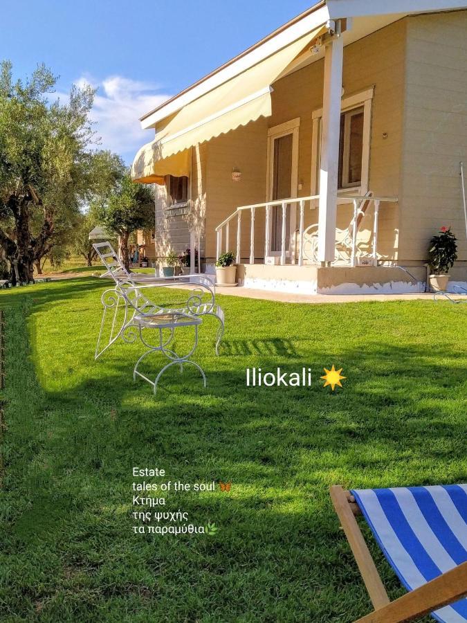 Bungalows With Private Pools "Tales Of The Soul - Της Ψυχής Τα Παραμύθια" Anemochori 外观 照片