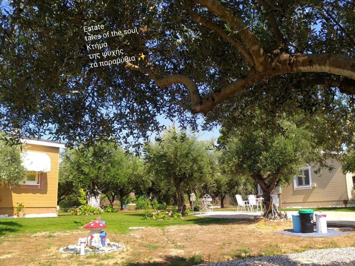 Bungalows With Private Pools "Tales Of The Soul - Της Ψυχής Τα Παραμύθια" Anemochori 外观 照片
