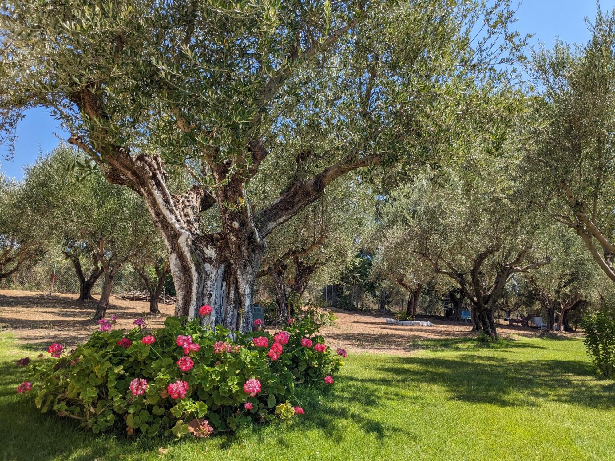 Bungalows With Private Pools "Tales Of The Soul - Της Ψυχής Τα Παραμύθια" Anemochori 外观 照片